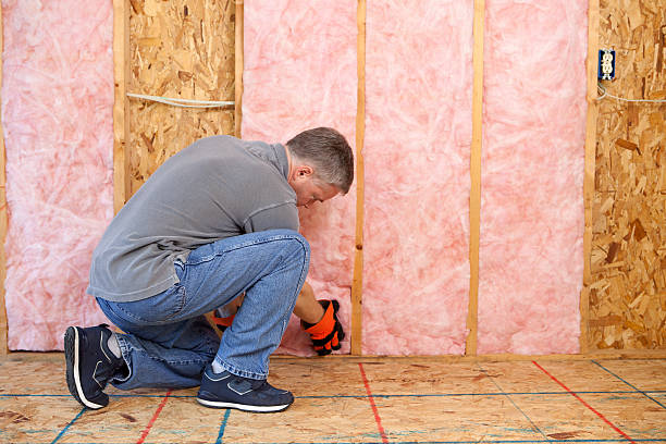 Best Attic Insulation Near Me  in Clarinda, IA