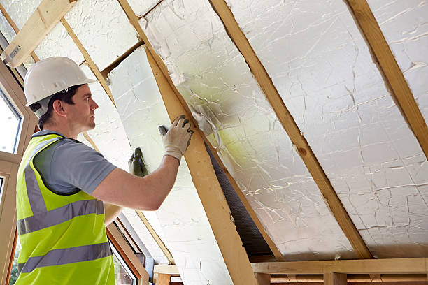 Best Professional Insulation Contractor  in Clarinda, IA