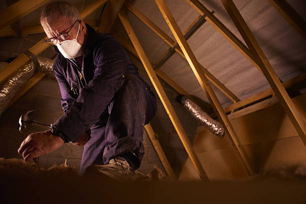 Best Insulation for Commercial Buildings  in Clarinda, IA